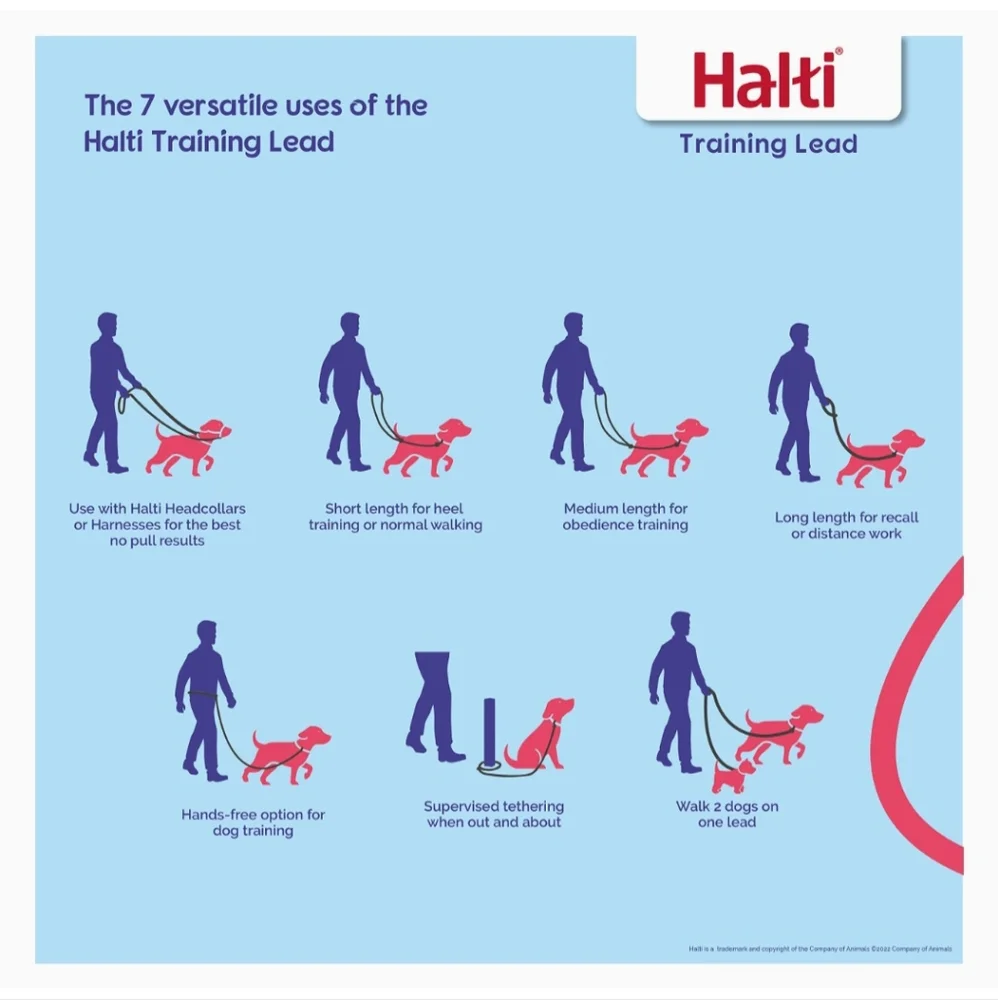 HALTI HARNESS MEDIUM TO LARGE